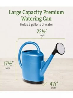 Hot Sale Flower Seed Store -Hot Sale Flower Seed Store 06341 2