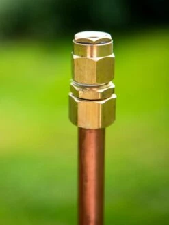 Hot Sale Flower Seed Store -Hot Sale Flower Seed Store 39 013 0001 tif