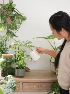 Pinpoint Indoor Watering Can -Hot Sale Flower Seed Store 3 4 crop 8612963 3774