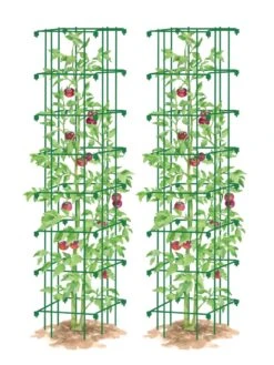 Tomato Towers, Set Of 2 -Hot Sale Flower Seed Store 8587041 0006 GRN tif