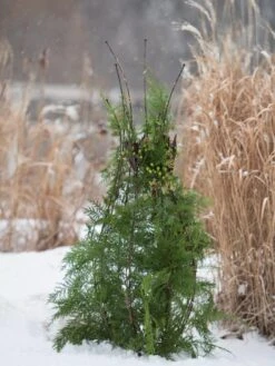 Jardin Pot Trellis 11 Jardin Pot Trellis -Hot Sale Flower Seed Store 8587120 009 tif