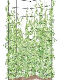 Two Panel Folding Trellis -Hot Sale Flower Seed Store 8589053 002Z tif