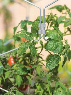 Gardener's Vertex Lifetime Tomato Cage -Hot Sale Flower Seed Store 8598426 0011 tif