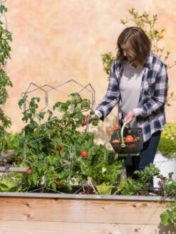 Gardener's Vertex Lifetime Tomato Cage -Hot Sale Flower Seed Store 8598426 0026 tif