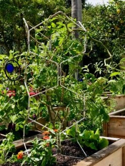 Gardener's Vertex Lifetime Pepper And Eggplant Cage -Hot Sale Flower Seed Store 8599554 01CUST tif