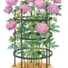 Titan Peony Supports, Large, Set Of 2 -Hot Sale Flower Seed Store 8599857 0001 art tif
