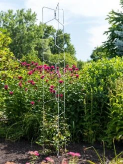 Vertex Universal Tall Tower 7 Vertex Universal Tall Tower -Hot Sale Flower Seed Store 8600015 0055 tif