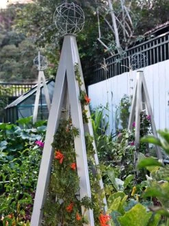 Akoris Garden Tuteur Jr. -Hot Sale Flower Seed Store 8600517 07V tif