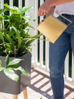 Precision Brass Watering Can -Hot Sale Flower Seed Store 8612691 0011