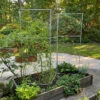 Chicken Wire Pea Trellis -Hot Sale Flower Seed Store 8612718 7313 chicken wire pea trellis