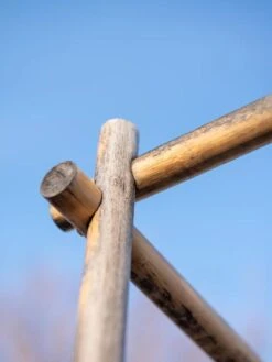 Bamboo Tomato Cages, Set Of 3 -Hot Sale Flower Seed Store 8613143 0385