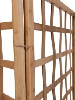 Bamboo Zig-Zag Trellis 24" X 36" 22 Bamboo Zig-Zag Trellis 24" X 36" -Hot Sale Flower Seed Store 8613151 5416