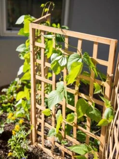 Bamboo Zig-Zag Trellis 24" X 36" 16 Bamboo Zig-Zag Trellis 24" X 36" -Hot Sale Flower Seed Store 8613151 6467