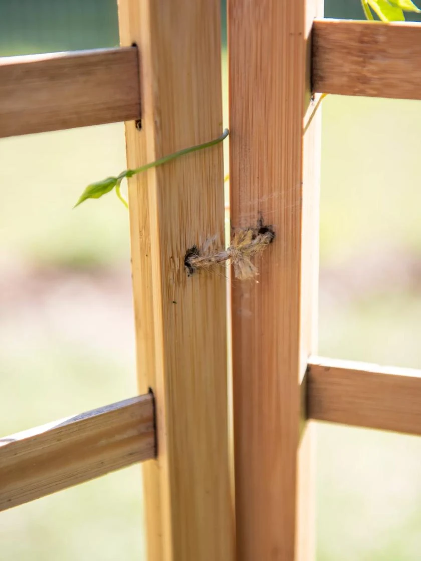 Bamboo Zig-Zag Trellis 24" X 36" 7 Bamboo Zig-Zag Trellis 24" X 36" - Image 5