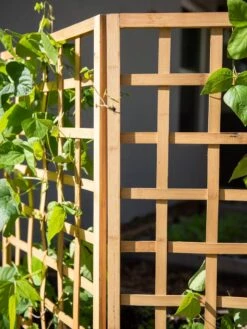 Bamboo Zig-Zag Trellis 24" X 36" 18 Bamboo Zig-Zag Trellis 24" X 36" -Hot Sale Flower Seed Store 8613151 6491