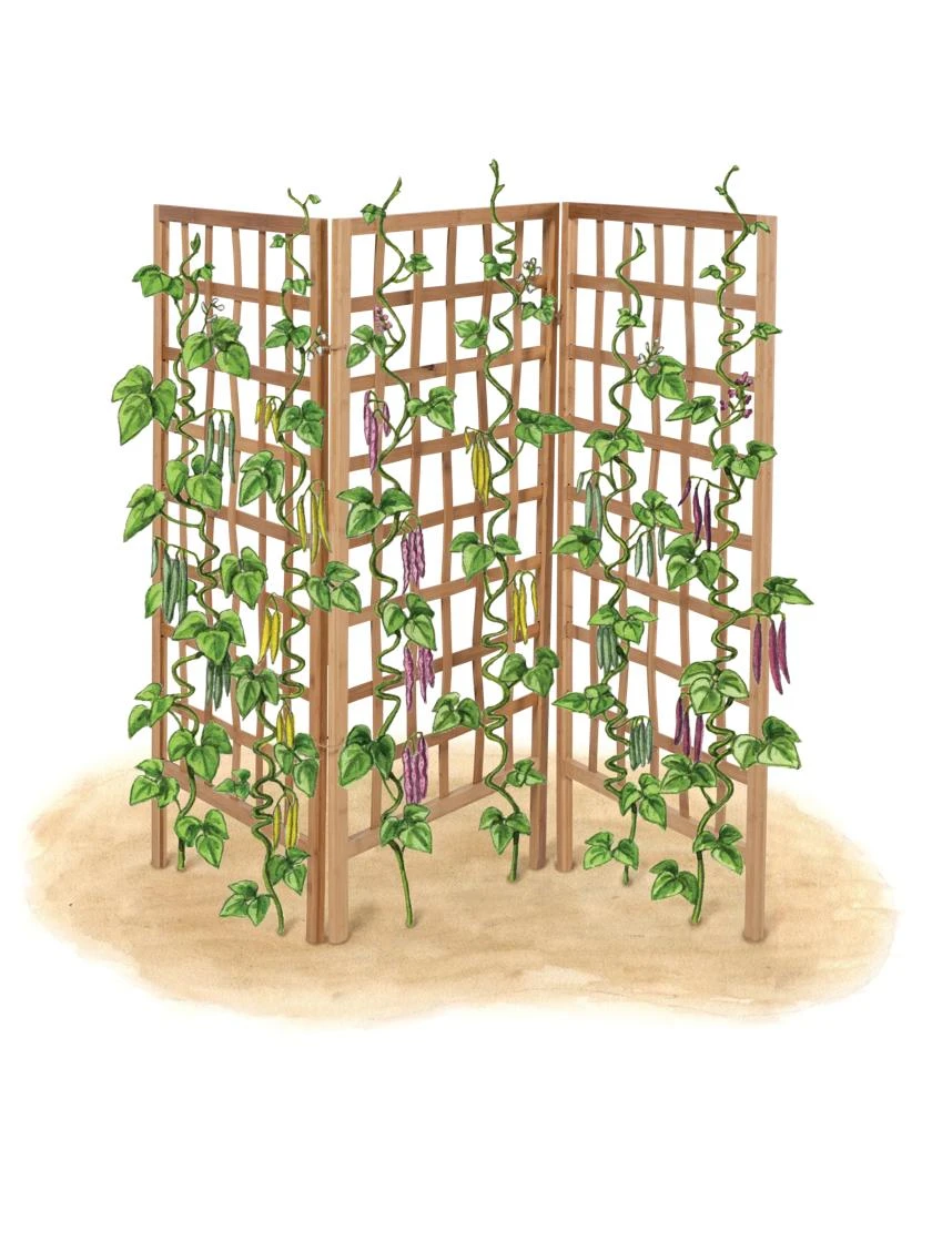 Bamboo Zig-Zag Trellis 24" X 36" 10 Bamboo Zig-Zag Trellis 24" X 36" - Image 8