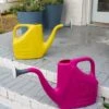 Bama® Watering Can 1 Bama® Watering Can -Hot Sale Flower Seed Store 8613299 0126 bama watering can