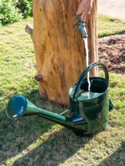 Long Reach Watering Can, Large -Hot Sale Flower Seed Store 8613346 0147