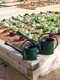 Long Reach Watering Can, Large -Hot Sale Flower Seed Store 8613346 0148 1