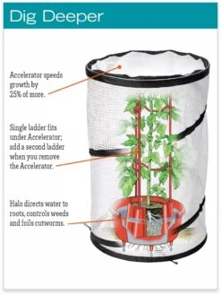 Tomato TLC Kits, Set Of 3 -Hot Sale Flower Seed Store hiw 8594214 jpg