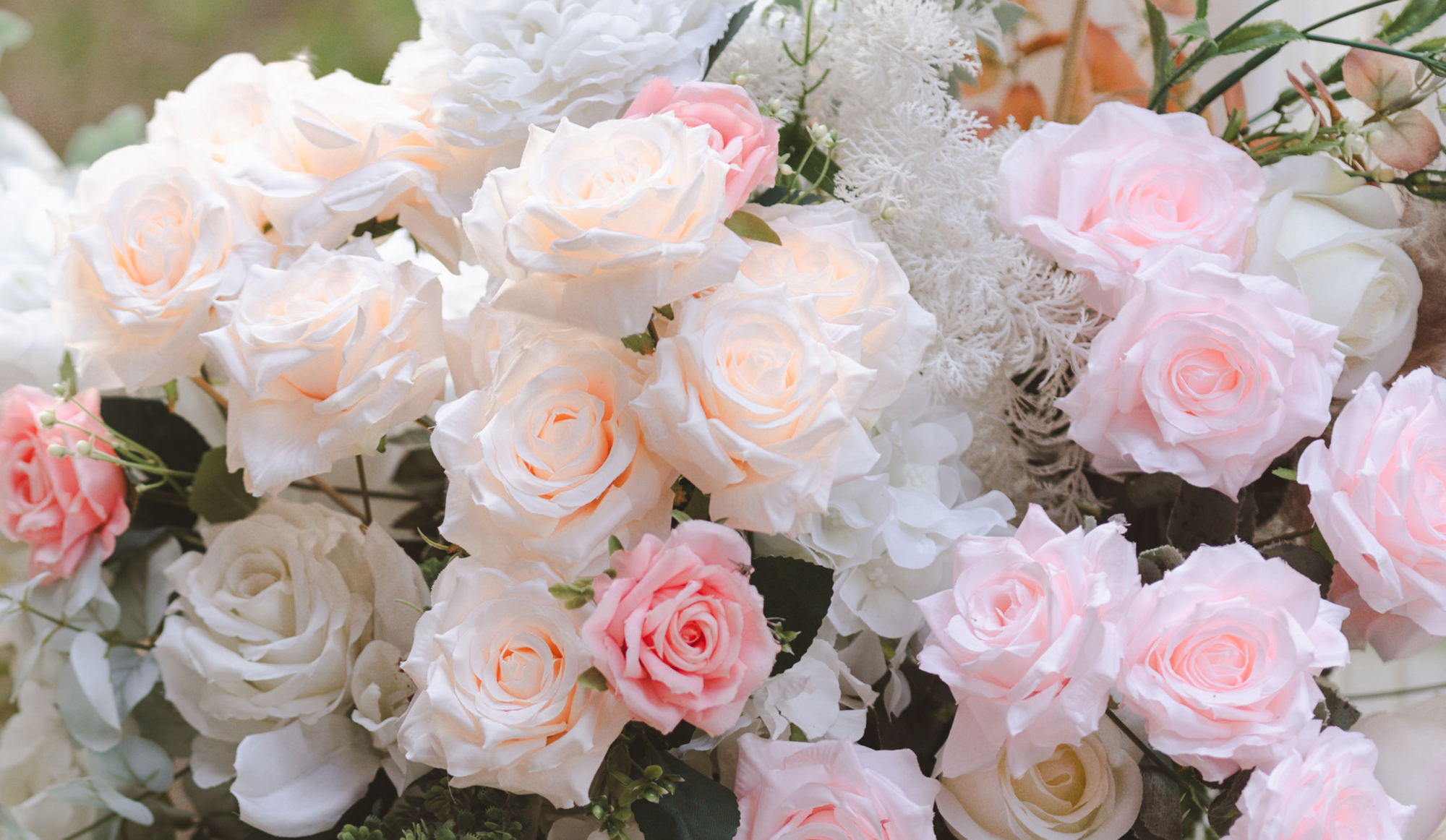 Hot Sale Flower Seed Store -Hot Sale Flower Seed Store slide1New